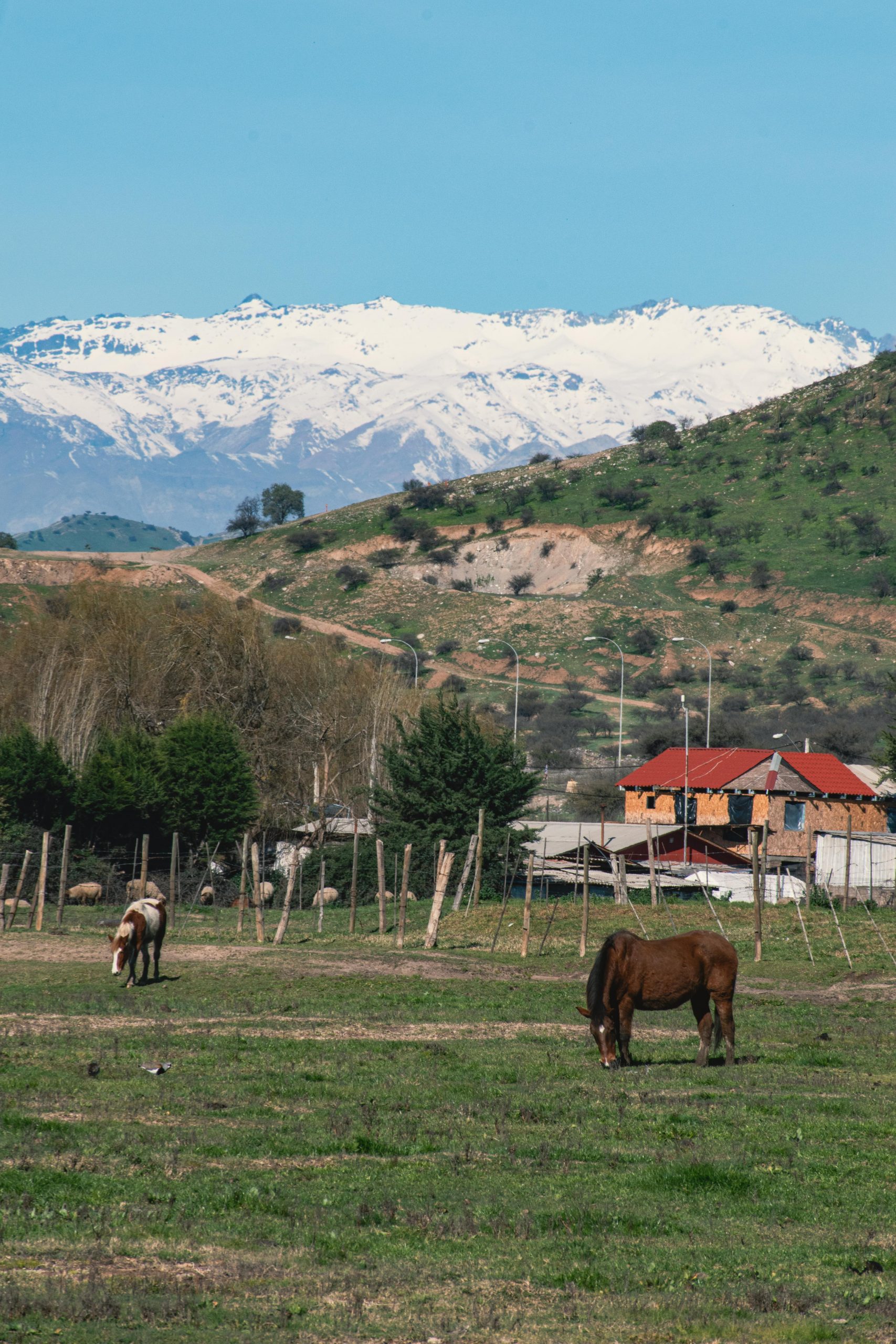 Albania